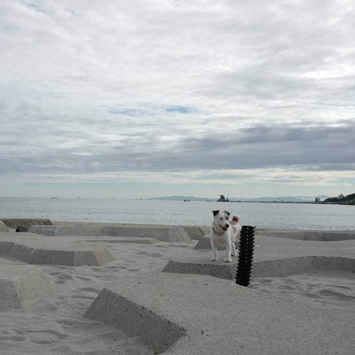 2c379ddb 6f0a 4f6c 9926 b57ceb6a5502 1562556970517