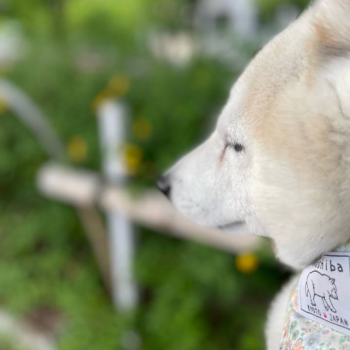 2c37a322 ac82 4b77 9895 20d960b689f1 1654063603435