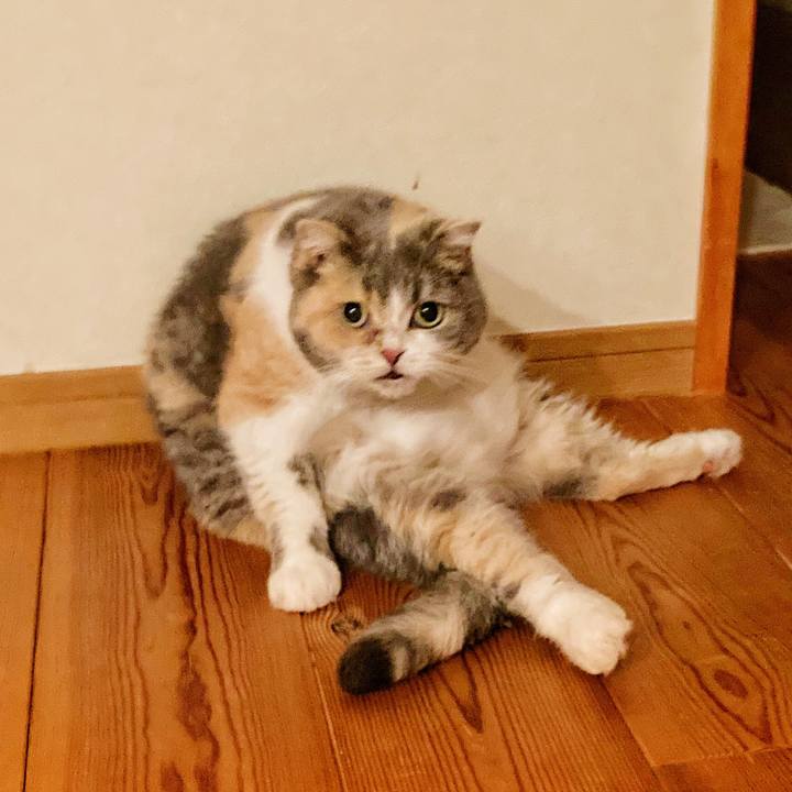 2c37b54f 0e5d 4a86 bd63 d7f1ece54f56 1598486290148