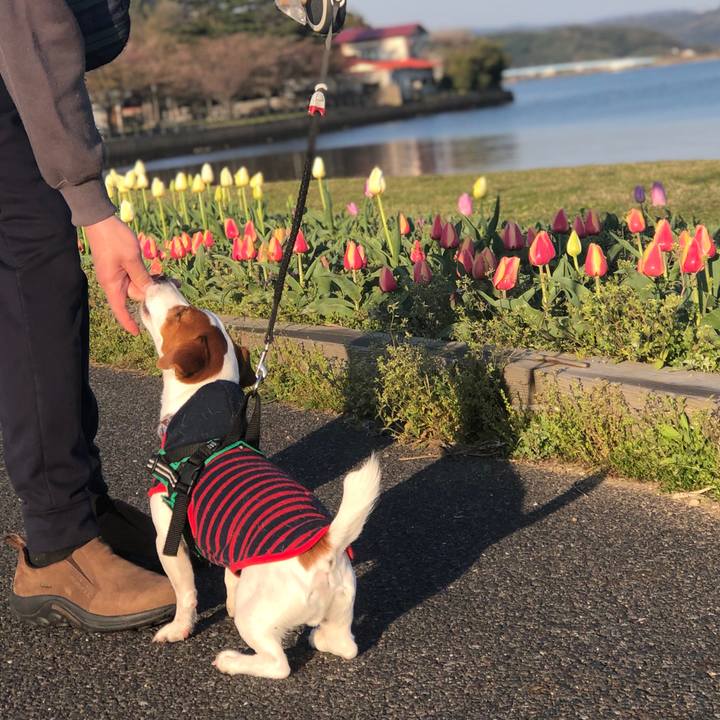 2c37b85c d3e5 4834 8e2a 3c4b3657e6aa 1555405317745