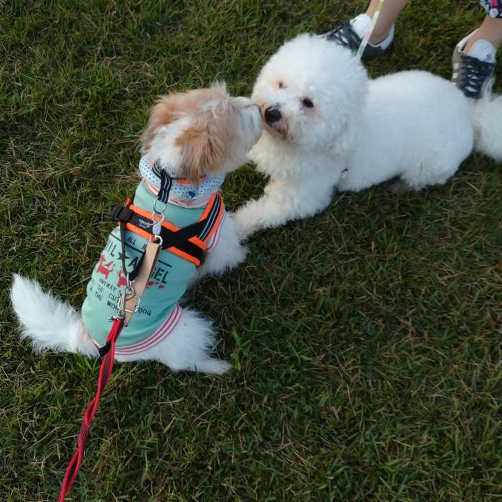 2c37be05 1cbf 4034 a478 c9000651949e 1755903392226