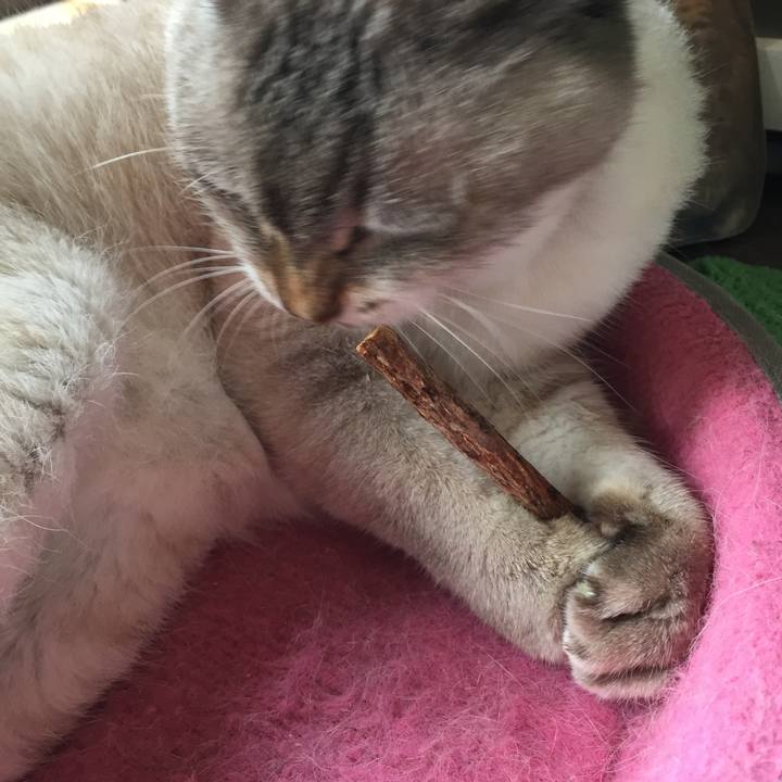 2c37c52c 62b5 4faf 89d1 81cbd6815b9e 1562887637746