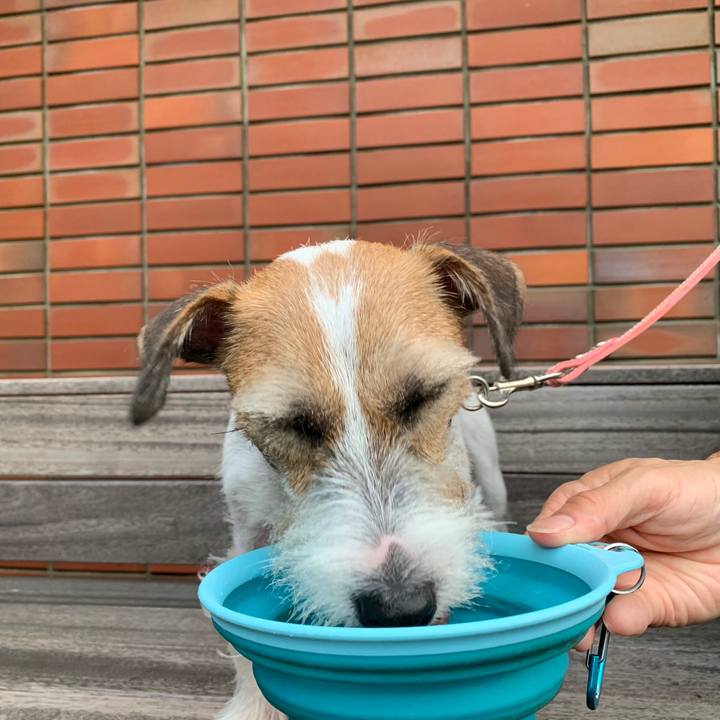 2c37ec6d 4488 4bc2 a4fe cb130ad8221a 1596975205100