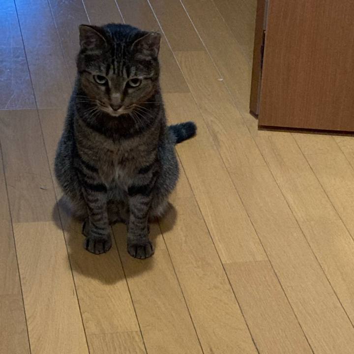 2c380a1e 2f66 4615 b479 7aa5344b0927 1593060389280