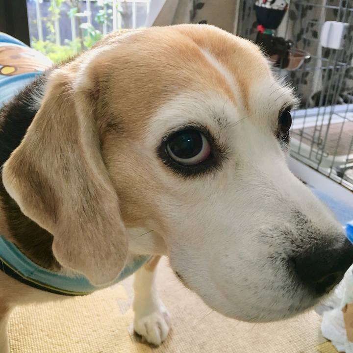 2c380db0 b0aa 46c8 b33e 945844f78117 1730065821737