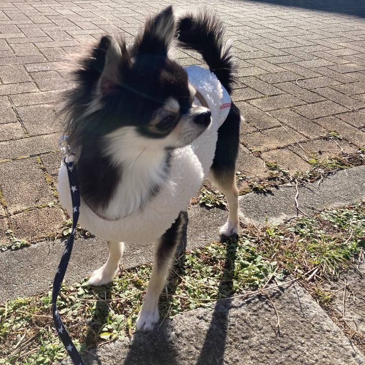 2c380f4c 8da7 4a16 b77b 862e2aeb06b8 1639892192795