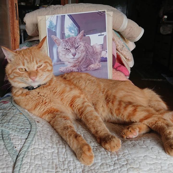 2c384a0b 68e6 4553 9704 f3cb8207ecb5 1662109268014