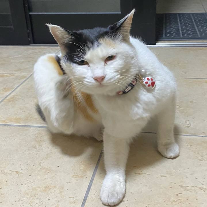 2c38725f 5390 4e03 acf2 2298646acd45 1642237534476