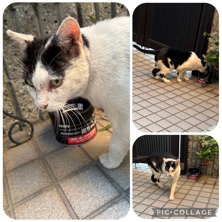 2c38902c b34a 4201 b2cf bf573029f004 1759029375749