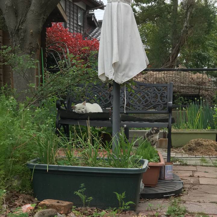 2c3894cc a6be 4bf1 8d33 fbb9ef9c604a 1523529624140