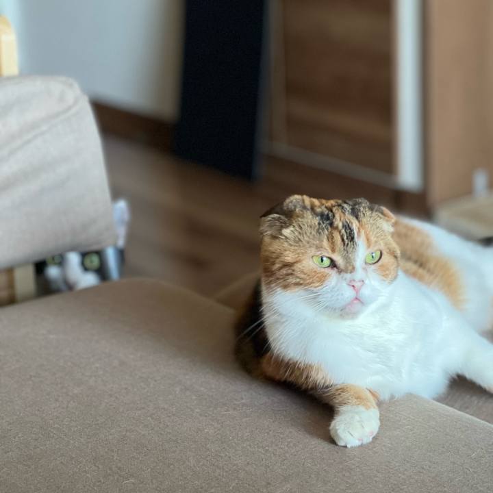 2c38c08e 5664 4039 a50c aac45585d189 1693574150096