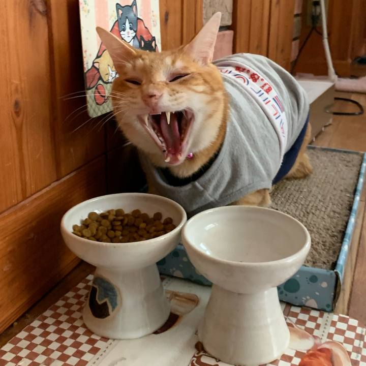 2c38d264 0aa2 46c7 addf fb42dea754d8 1605850817173