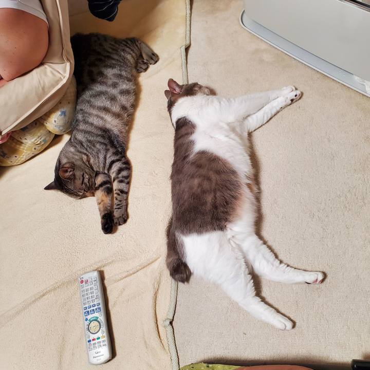 2c38daf0 0bfb 4911 99c5 b2ca5177ae35 1705635148771