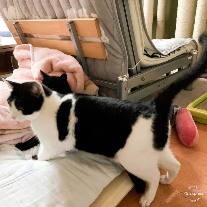 2c3902ea 2208 4f49 951b 4b443c6e397a 1546824070001