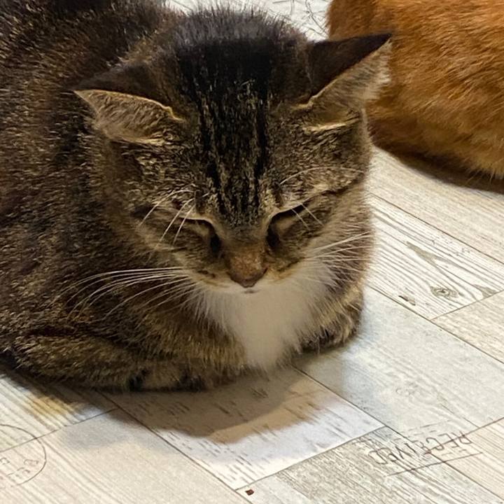 2c391386 8abe 4ae1 8c96 2a5f73ca6e8b 1601414032043