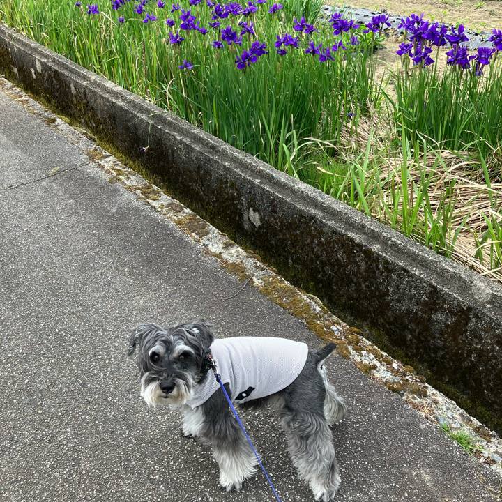 2c394d7f 7755 49fc bb7a 5e62cf2530ad 1715497302563