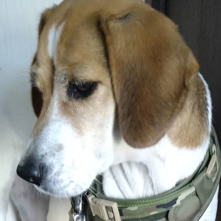 2c39b572 3baa 43e0 99f8 b7671a4d891b 1668580873755