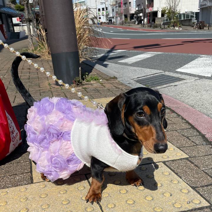 2c39ebed ceb7 416e 8e25 1244afc22e2b 1646194211237