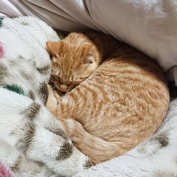 2c3a0f41 5b95 4a86 bd23 54fb8c3516e3 1641124615248