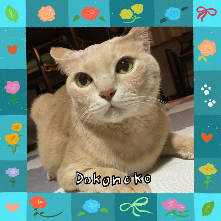 2c3a2460 e896 45cf 8ece d1a25c0e88e9 1715088179249