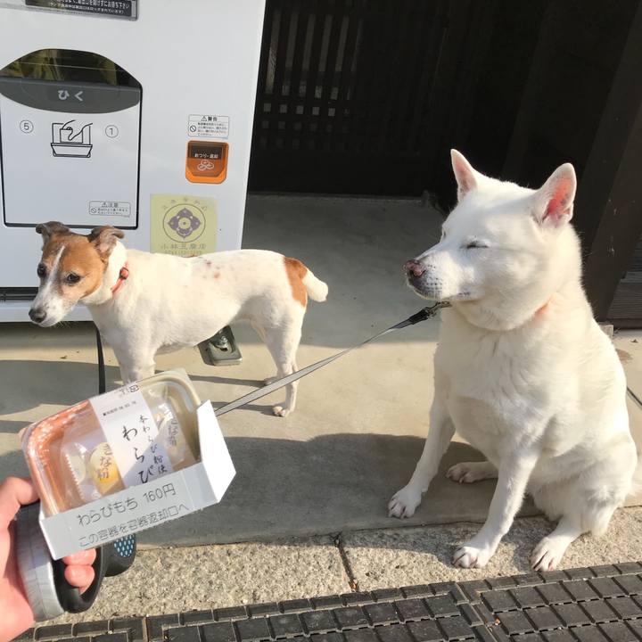 2c3a5869 a52c 49f2 929a 320375d13be9 1523146652942