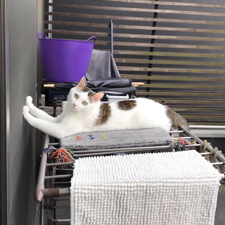 2c3a74ec 6762 48c8 8470 0ec99525a5df 1563703333620