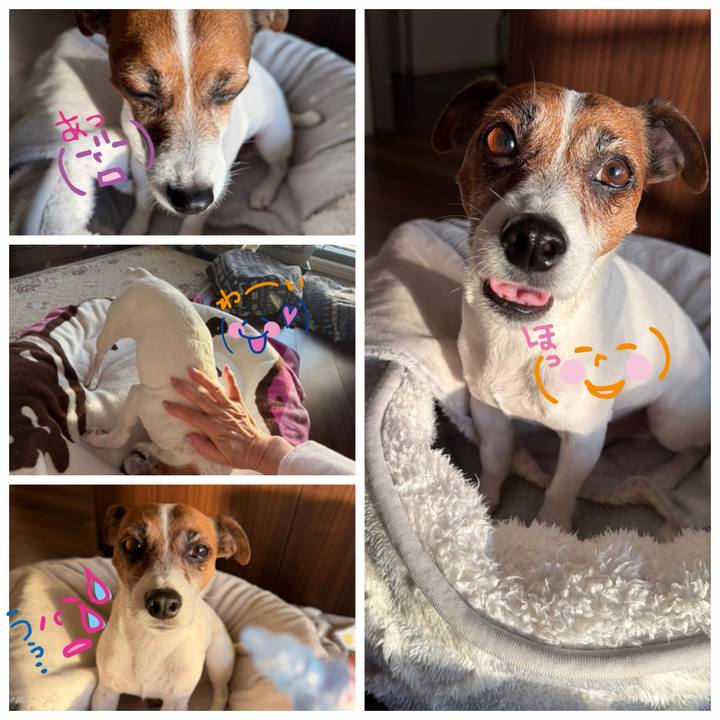 2c3a85e9 10c8 4536 90b7 791cca8f746e 1768000266421