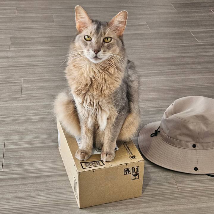 2c3a9413 30ce 4c46 833d 8e12829a50a8 1747956521774