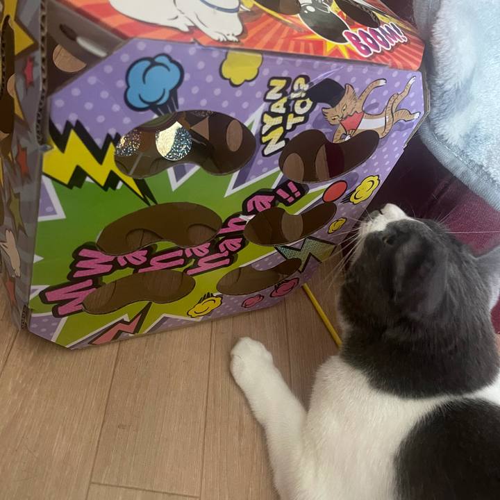 2c3abcf0 a16d 45c8 b3a8 b45362431dc9 1632700524884