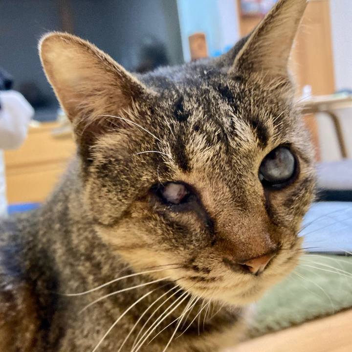 2c3aec54 523c 4996 b57d 21154f4b1482 1678510084451