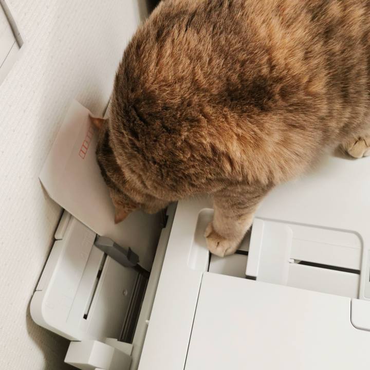 2c3aedd4 3e1d 4741 8ffb 1de83692ac68 1629690630022