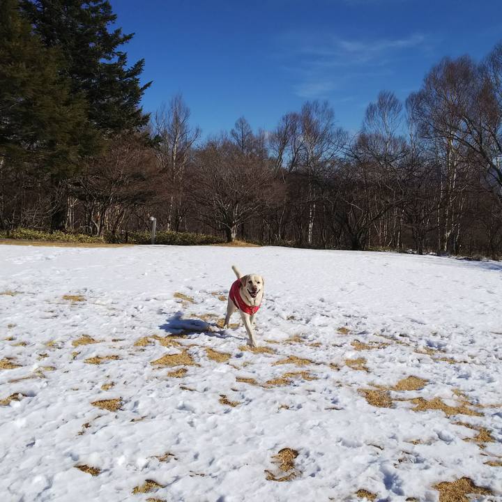 2c3b0060 9f69 4afc 8165 1d99870d8d6e 1578127496623