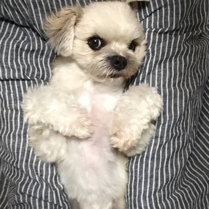 2c3b224a 4e0f 4053 b67a cc3cabce7809 1536496843284