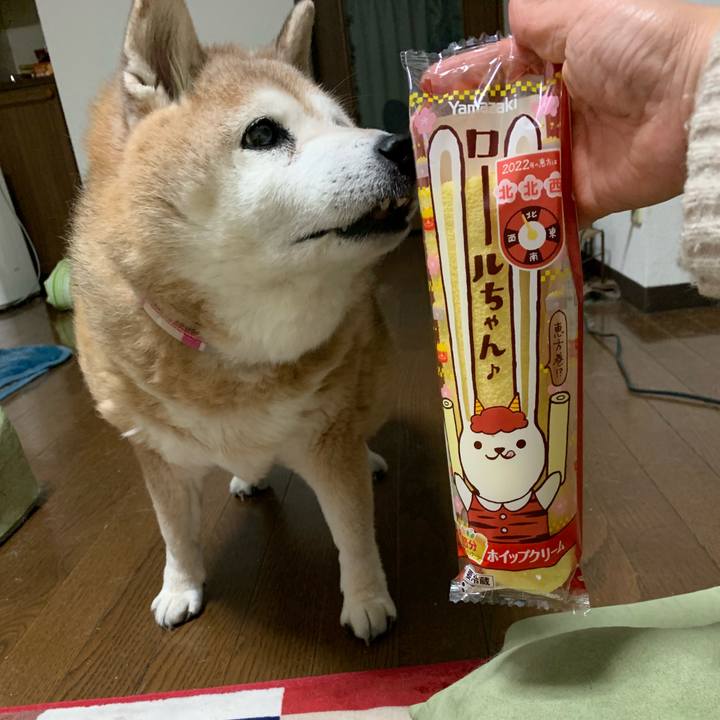 2c3b405d 2e4c 482a a156 6030c3f42db6 1643887062111