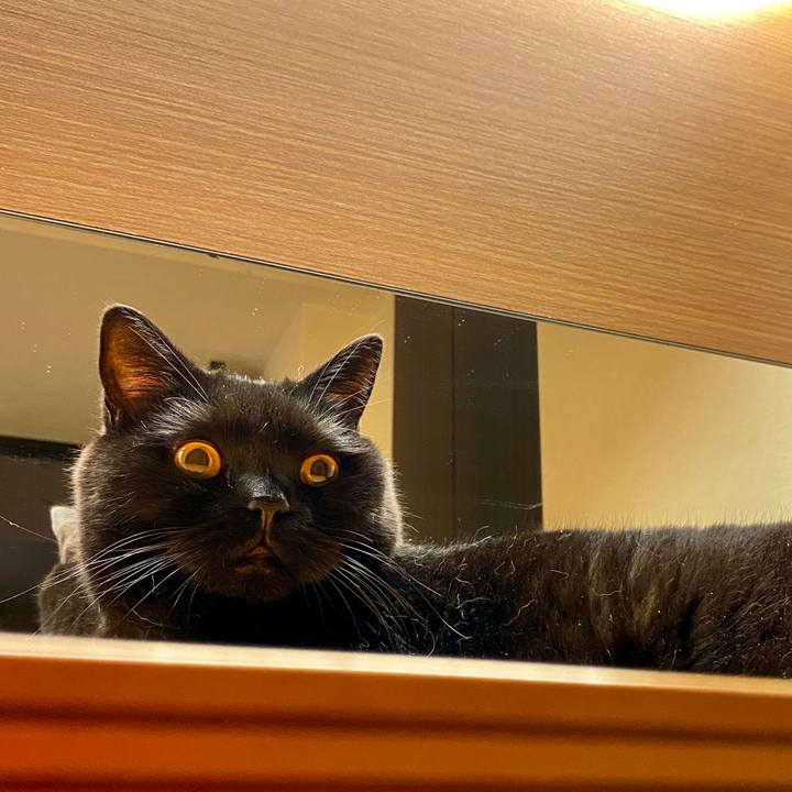 2c3b661a a0c9 45b3 bf19 476652031eb0 1598362251839