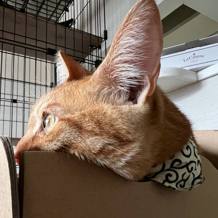 2c3b82bc 2eb9 4837 bbb5 7a5557856d22 1655007421951