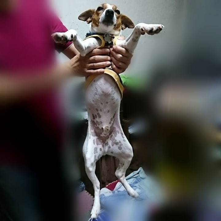 2c3c131d 4bf9 4cdc 9edd 138705ed059e 1538654107689