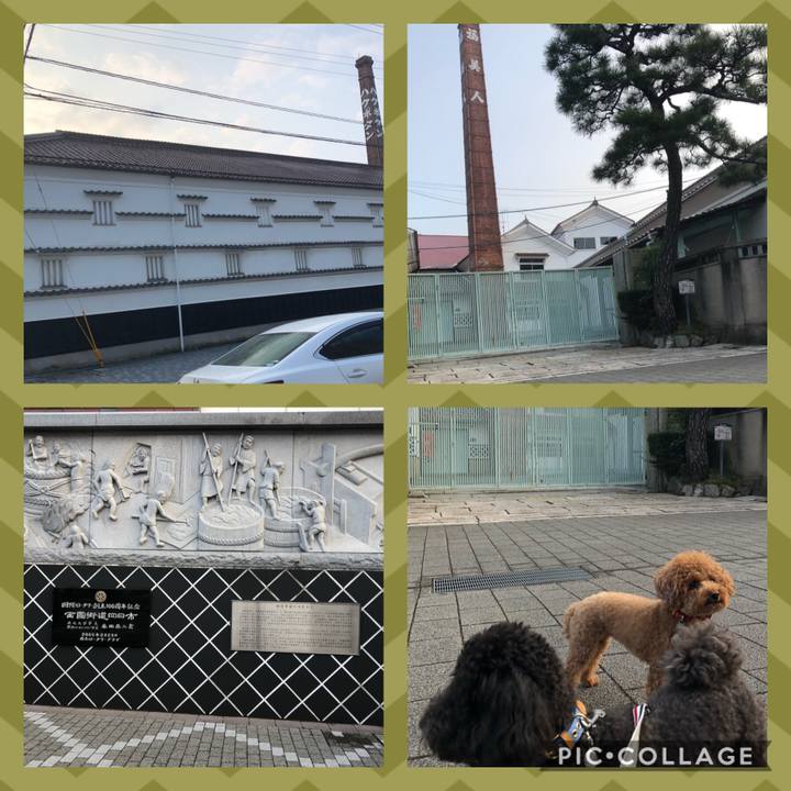 2c3c2a13 86b0 4c2b bd0d 8dbfda24d350 1603096935523