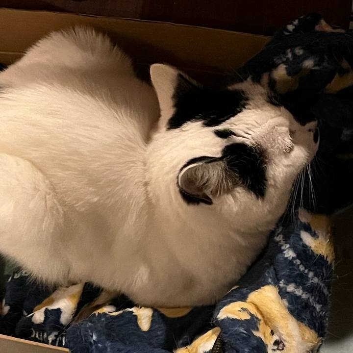 2c3c3aba c271 4567 8f10 2c91a8ba575a 1769697216554