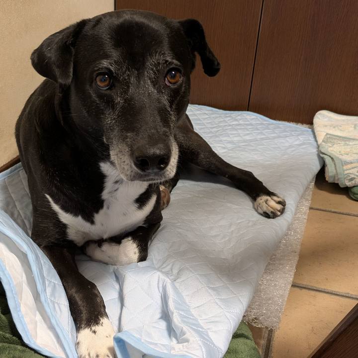 2c3c4079 d154 4bfc a82e c783c95e27c0 1760052135465