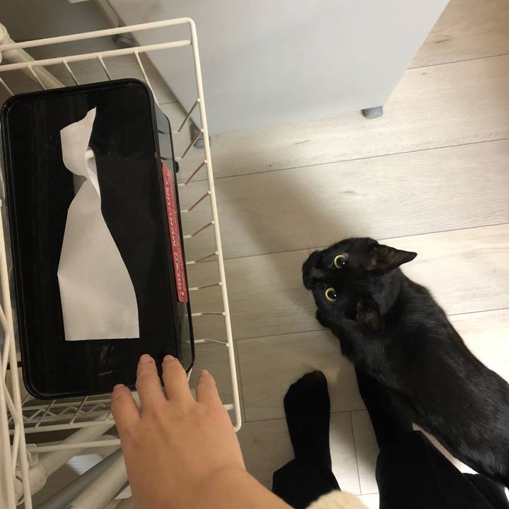 2c3c4098 13c8 411f 9fc6 51d77e3cb370 1515157528099