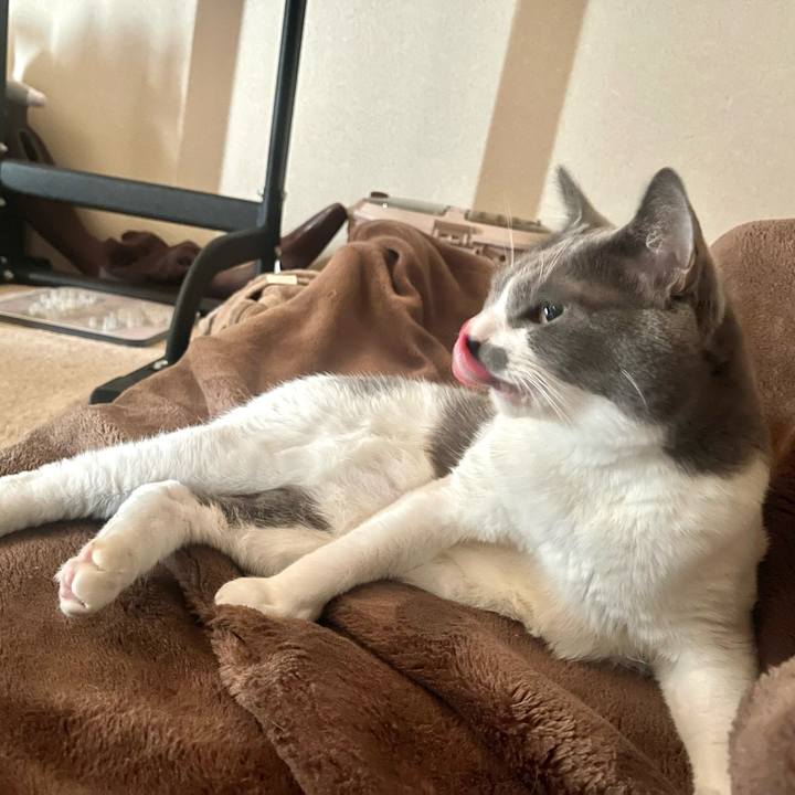 2c3c48dd 4978 44dd 868b e86058d09cf8 1665532879605