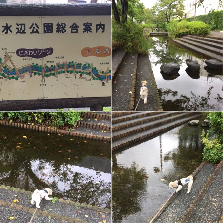 2c3c559b 4b01 4cdf 8afc dd474b7a117d 1535859541826