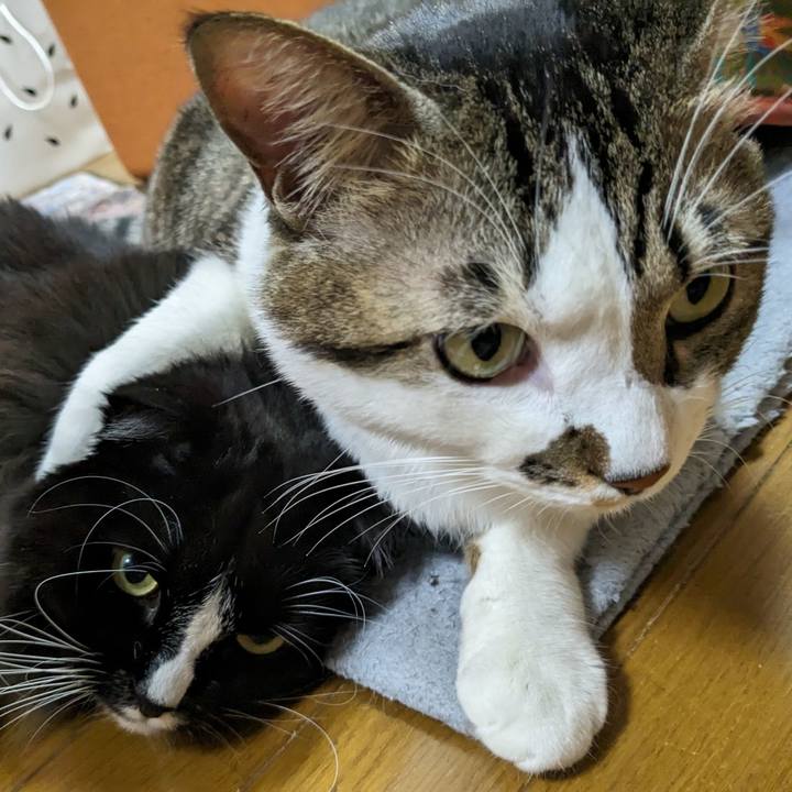 2c3c750f 01c8 4e9b b53b b8a3f446693b 1702874548922