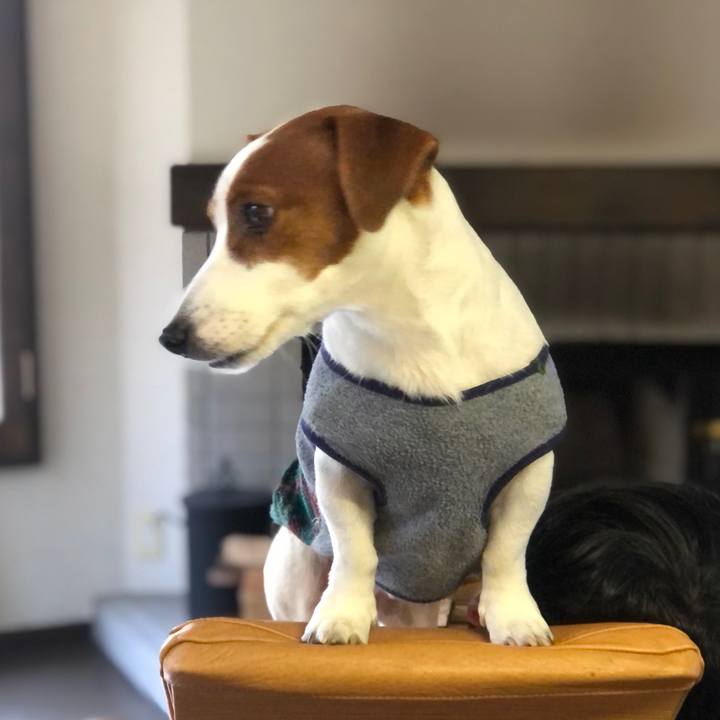 2c3c8a8e 348c 4916 8f65 a016ef603768 1605698147890