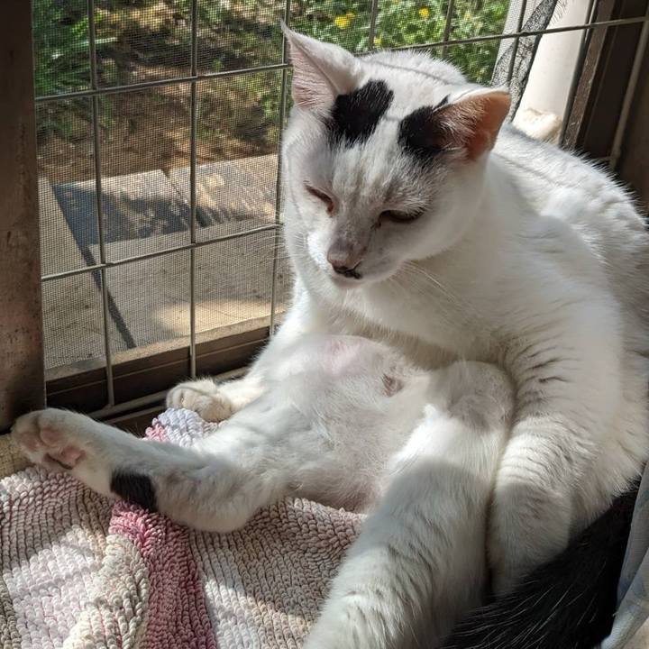 2c3c8e09 a003 4da6 b08e 4725ab80ce24 1715947853226