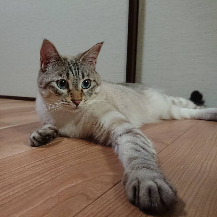 2c3c91f4 4f81 4e58 b42e 38c6a072a52b 1528462490451