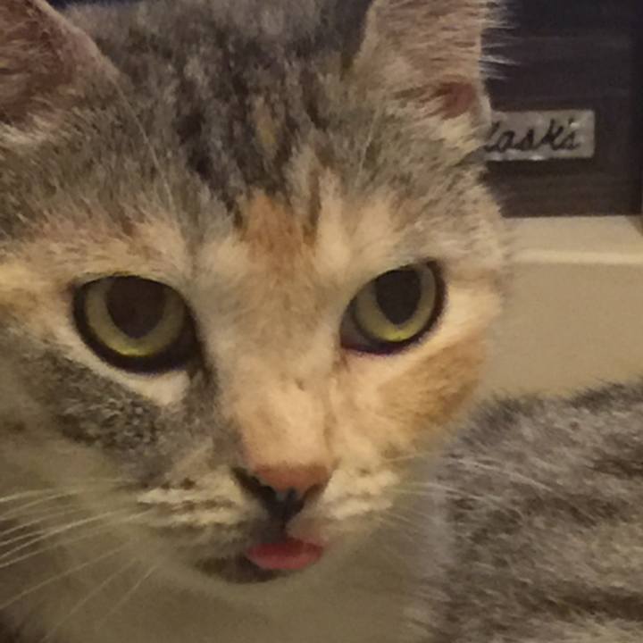 2c3cb836 52bb 4239 8c56 8ef8d57d90f6 1547124422732