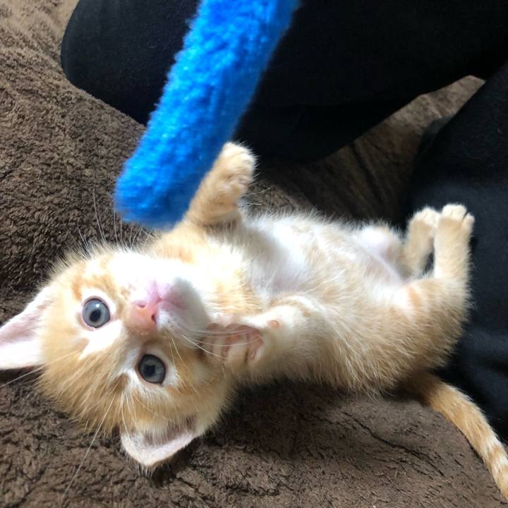 2c3cff4d 327b 4a9b b77f 5827d214203b 1560723862533