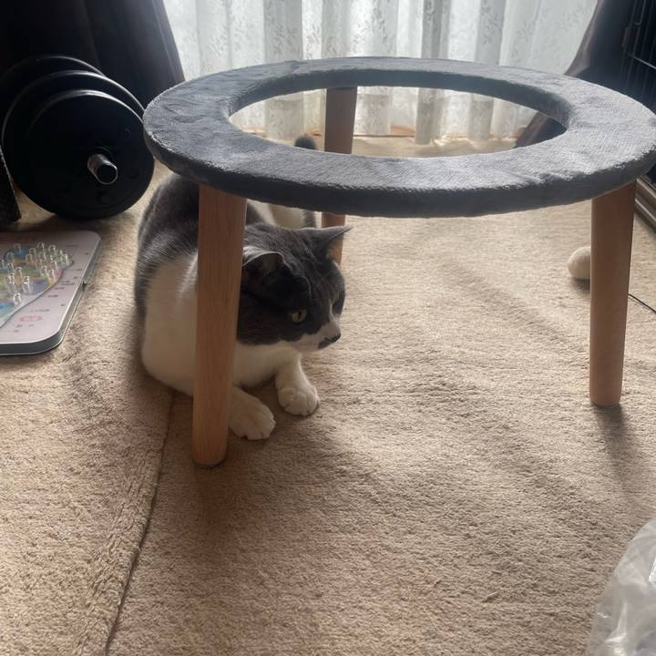 2c3d30d6 d834 4e51 938b d98814676208 1735092674974